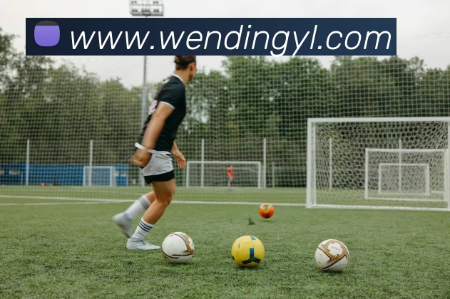 问鼎娱乐平台生态图